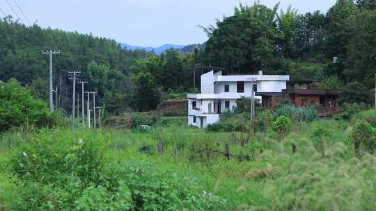 农村老房子山间小屋生态