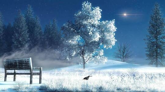 冬天下雪后 美丽的森林树木雪景特写视频素材模板下载