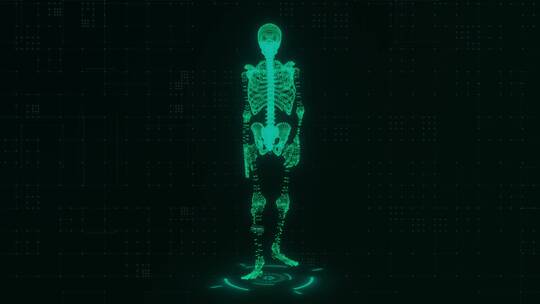 人体骨骼数字化影片