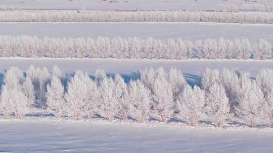 4K呼伦贝尔雪原雾凇航拍4