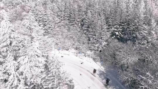 陕西秦岭分水岭雾凇冰挂雪景