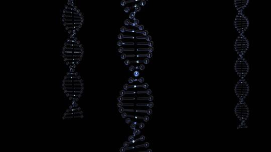 DNA 遗传物质 基因库