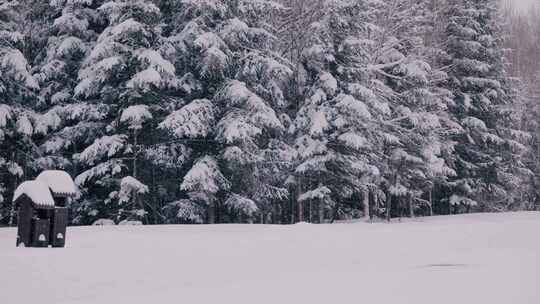 长白山雪人在行走在下雪的路上