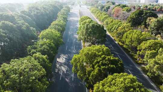 秋天公路