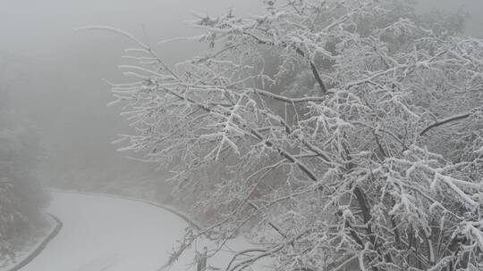 DJI_0048金华山双龙景区 雪景视频素材模板下载