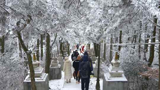 庐山大雪覆盖下的古道