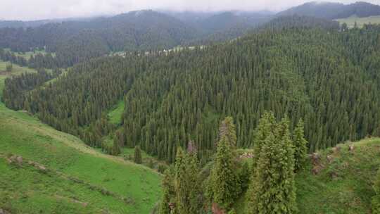 江布拉克风景区航拍