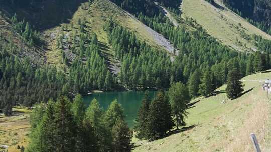 瑞士阿尔卑斯山阿尔卑斯山的阿尔卑斯山山谷