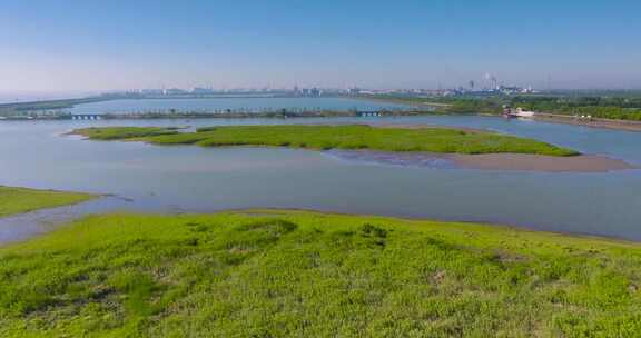 杭州钱塘大湾区湿地公园航拍视频