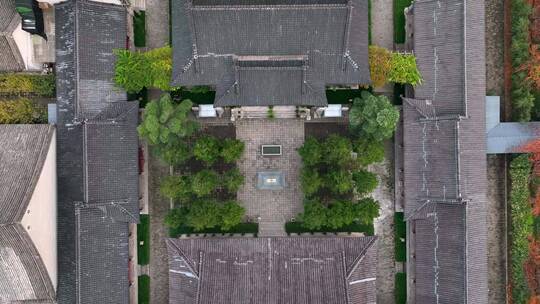 陕西秦岭古观音禅寺银杏树合集城市景观