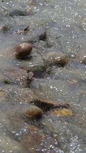 河流流水流经石头（4k）