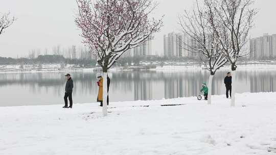 龙年春节汉中春雪