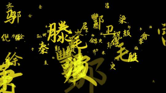 百家姓文字飘出视频素材5
