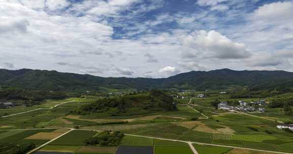 【延时】福建武夷山茶田茶园