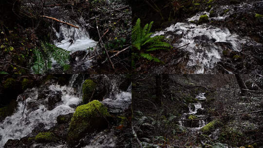 森林山泉泉水溪流河流冬季小雪