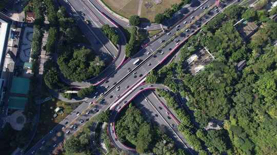 广州三角梅盛开的道路立交航拍