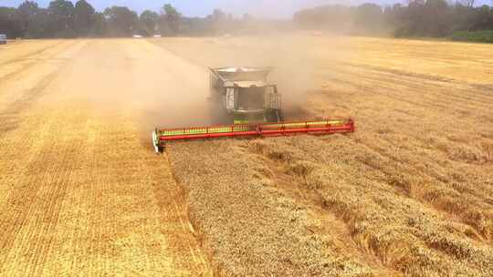 航拍收割机在麦田中收割小麦秋收3_4K