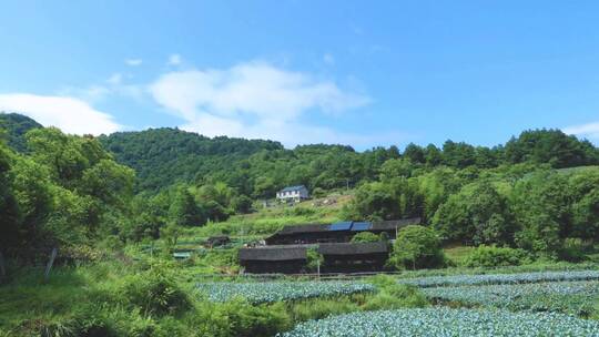 乡村瓦房