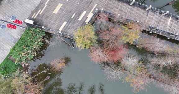 阳江市鸳鸯湖公园航拍