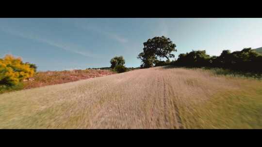 FPV无人机航拍农场麦田树林小路安达卢西亚