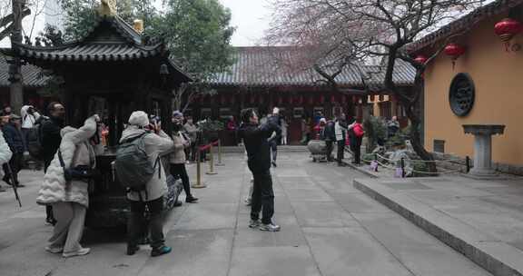 游客在湖州铁佛寺古建筑庭院内拍古梅花树