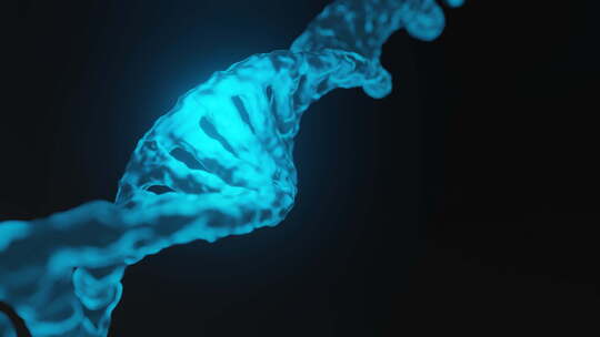 DNA螺旋结构的动画展示