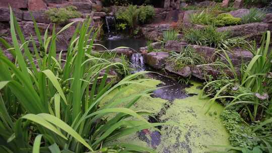 花园流水绿植景观