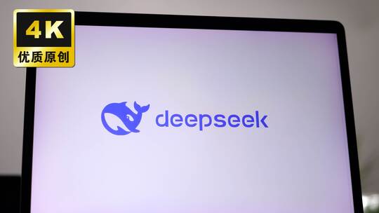 deepseek网站网页班AI对话问答