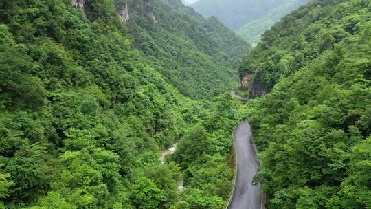 湖北神农架G209峡谷公路森林风光视频素材模板下载