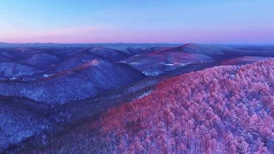 大兴安岭雪覆山林银装素裹