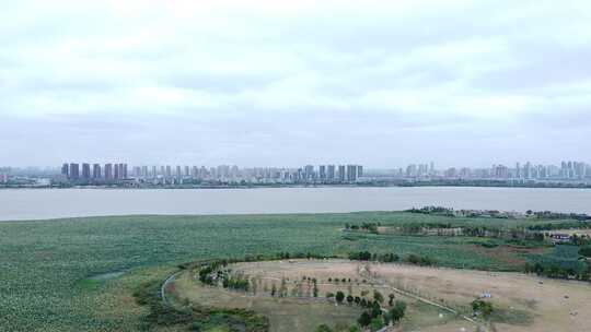 武汉江夏区黄家湖湿地公园航拍