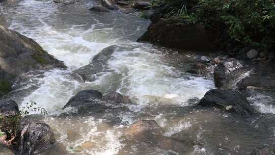 森林中 山泉小溪水