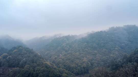 山 云雾缭绕 森林云雾 大自然 仙境