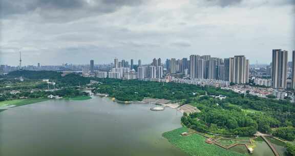 【正版素材】武汉月湖风景区