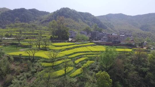 衢州市衢江区东平村