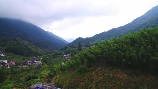 航拍武夷山桐木麻粟村正山小种老枞红茶山场