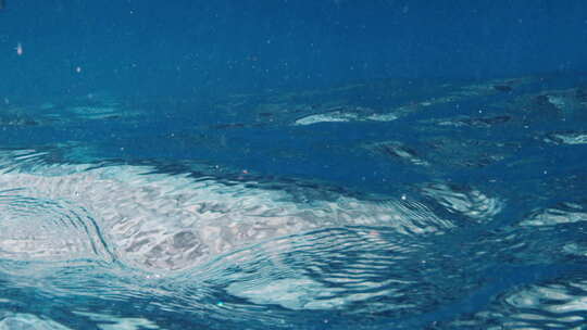 热带蓝海水下景观视频素材模板下载