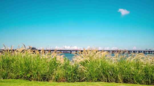 深圳_前海高速海边_城市风光_延时