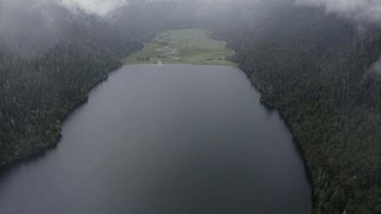 4k超清川西高原航拍湖泊牧场山谷牛群马匹