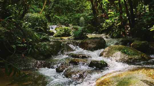 山涧自然小溪流水山泉水