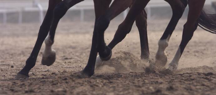 马蹄奔跑 高速摄影