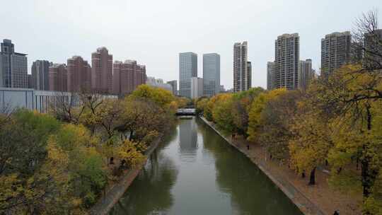 天津运河秋季城市公园风光