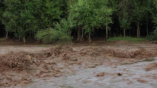 实拍暴雨后洪水 山洪  泥石流