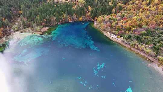 航拍九寨沟秋天五花海彩林最美水景秋景