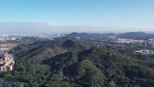 东莞市区黄旗山风光航拍