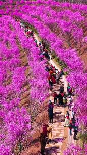 治愈系风景，抬头就被惊艳了