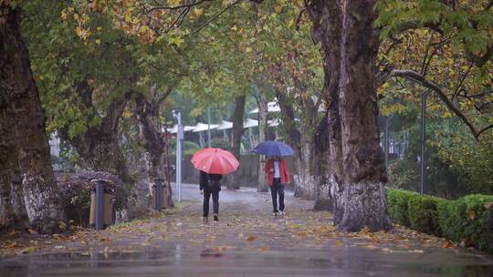 秋意落叶雨中的行人视频素材模板下载