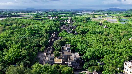 广东江门开平马降龙碉楼景区