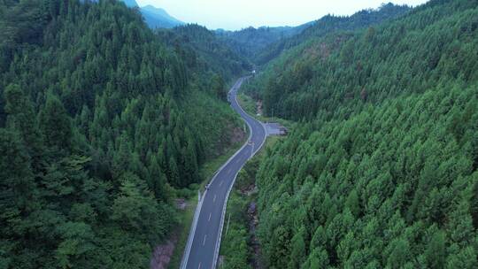 俯瞰山林盘山公路行车后飞