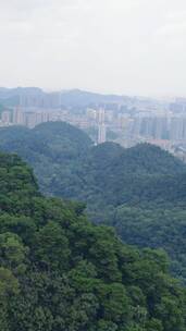 旅游景区贵州贵阳黔灵山4A景区